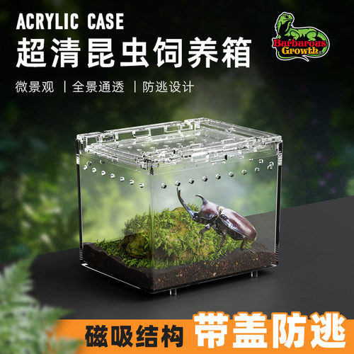 适合小型昆虫爬虫造景生态饲养盒