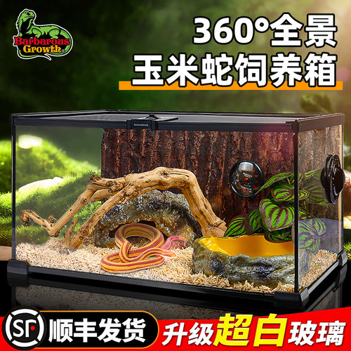宠物蛇爬宠饲养箱玻璃缸养蛇专用