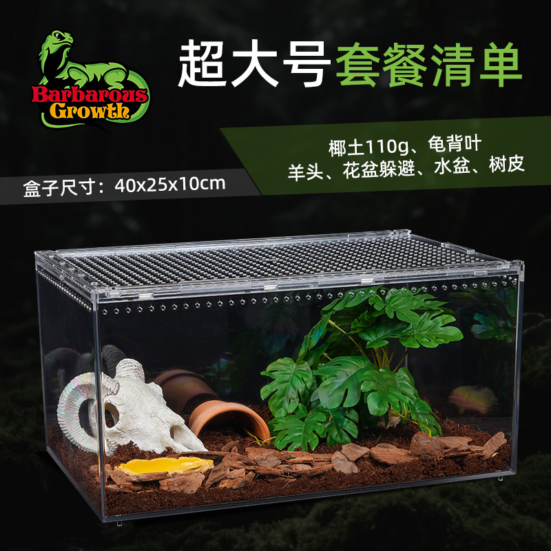 BG爬虫宠物箱透明亚克力蜘蛛雨林蝎甲虫高透观赏盒造景爬宠饲养盒