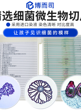 博而司显微镜生物标本切片观察配件动物植物细胞昆虫细菌微生物高清高透样本玻璃载玻片儿童学生教学套装实验