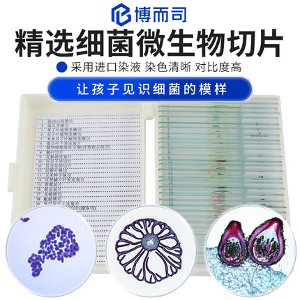 博而司显微镜生物标本切片观察配件动物植物细胞昆虫细菌微生物高清高透样本玻璃载玻片儿童学生教学套装实验