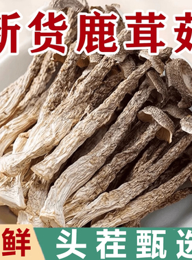 鹿茸菇干货特产级500g鹿茸菌菇农家食用菌福建古田高山蘑菇菌类