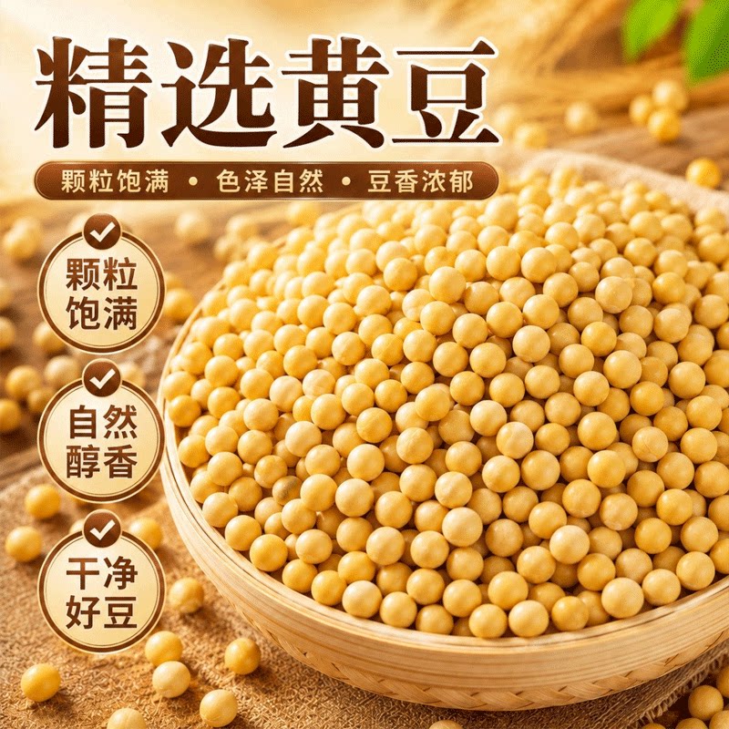 散装农家干黄豆当季新豆颗粒饱满家用磨豆浆做豆腐食用原料黄豆