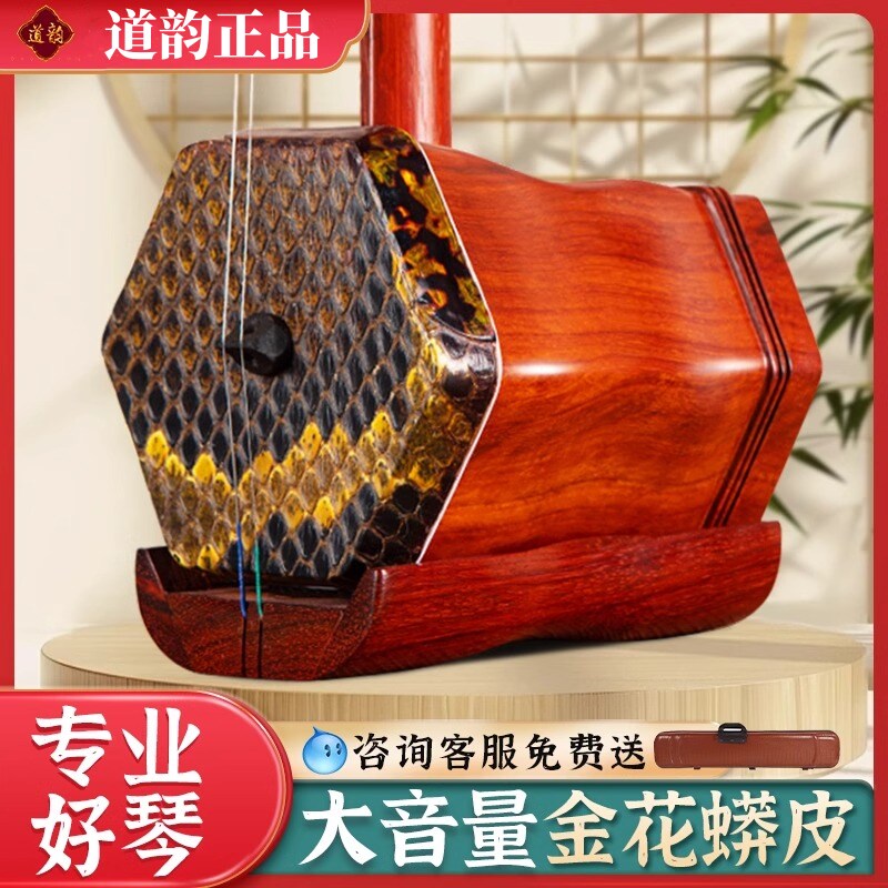 道韵红木二胡乐器初学人门考级专业演奏级黑檀木二胡正品厂家直销