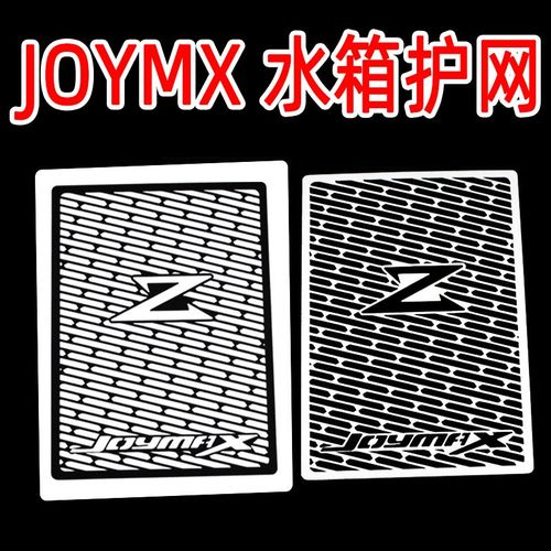 适合三阳九妹Z300X改装水箱护网joymax300水箱防护罩保护网不锈钢