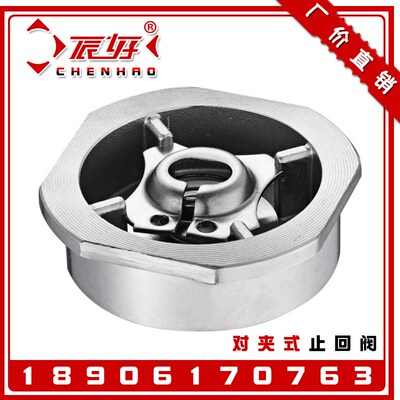 304不锈钢德标对夹止回阀H71W-16P法兰带耳弹簧式单向逆止阀门2寸