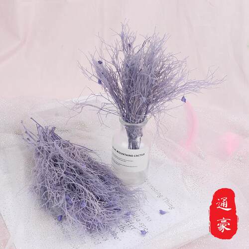 永生梦幻草干花花束 龙须草仙女气质ins北欧装饰摄影道具diy配材