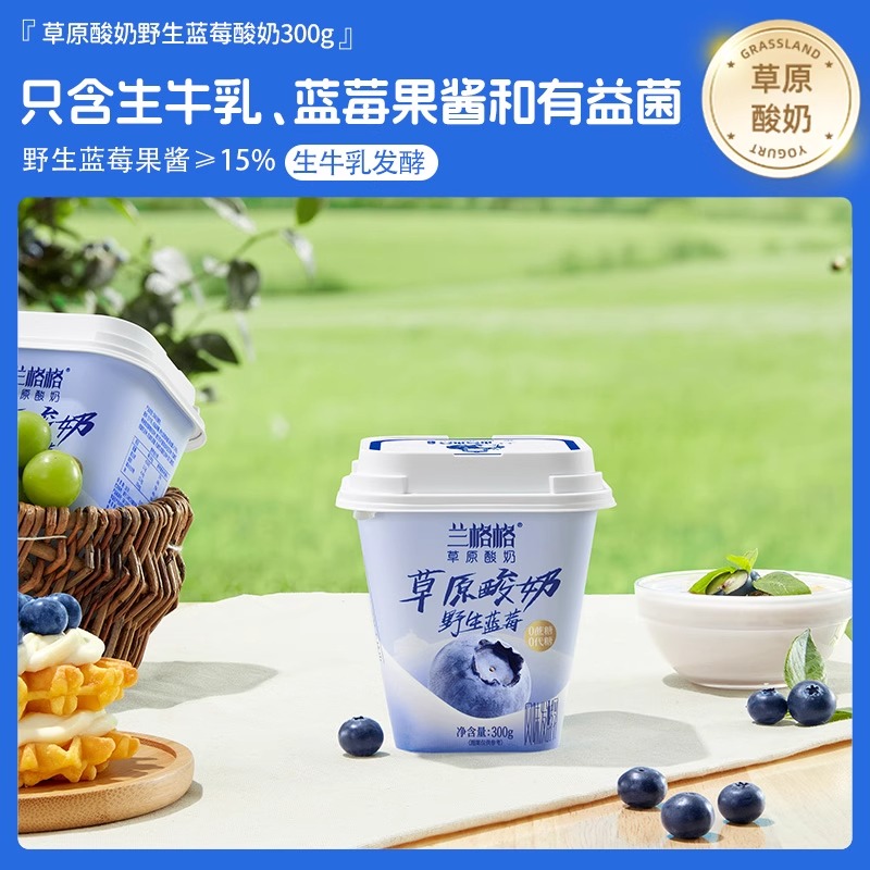 兰格格无蔗糖草原酸奶野生蓝莓酸奶300g*2盒