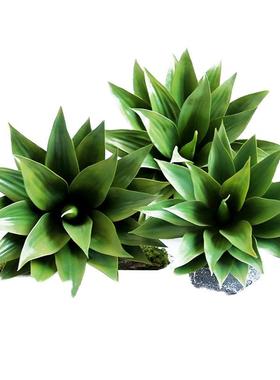 仿窗真龙舌植兰绿植剑兰热带装物饰品摆件家居软装EIO橱设计陈列