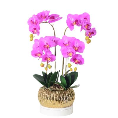 DLQ陶仿真花蝴花蝶兰套装瓷盆大栽盆景装饰假绢花摆件厂家直销批