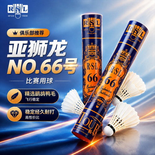亚狮龙羽毛球正品室内比赛用球