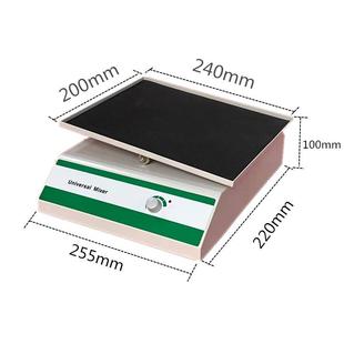 齐威翘板摇床数显摇摆电泳凝胶脱色振荡摇床实验室均匀脱色振荡器