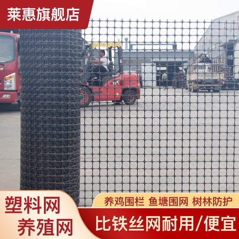 莱惠土工格栅防护网小孔养鸡鸭围栏护栏网隔离塑料养殖网圈玉米网