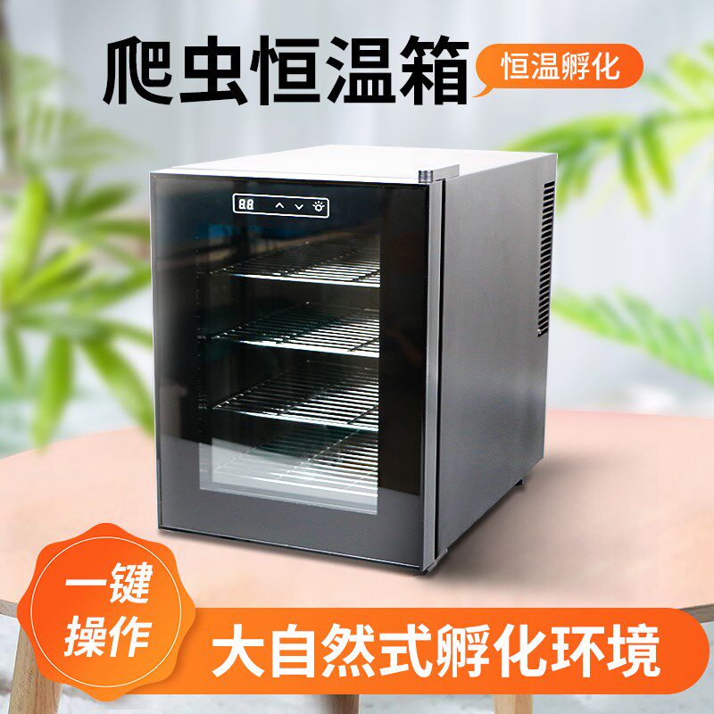 乌龟蛋养殖孵化箱孵化机蜥蜴爬宠孵化器爬虫恒温箱守宫蛇类孵化柜