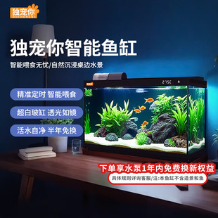 独宠你森森同款智能鱼缸桌面小型玻璃生态缸免换水自循环自动喂食