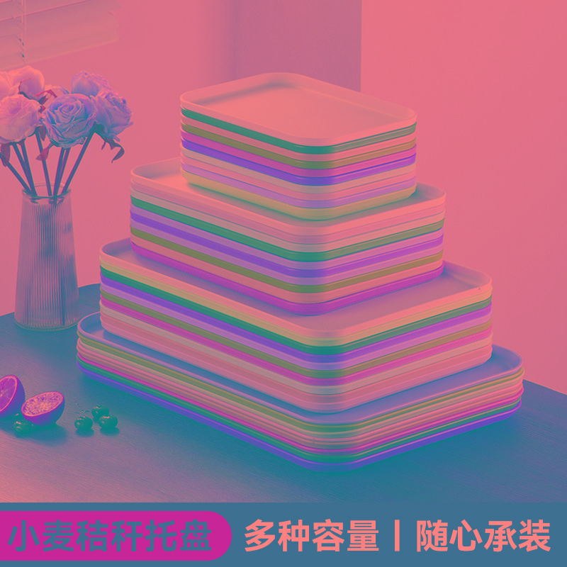长方形托盘ins风高颜值简约加厚塑料放水杯杯子茶杯水果盘幼儿园