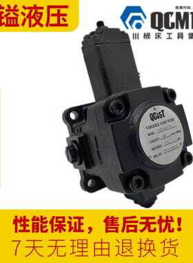QCIST秦川奇斯特VVP40B/70 VVP20D/55 VVP30A/35 15C/20叶片油泵