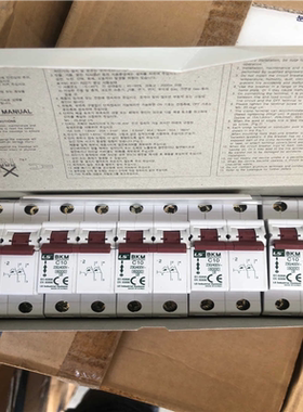 LS BKM 2P10安断路器。