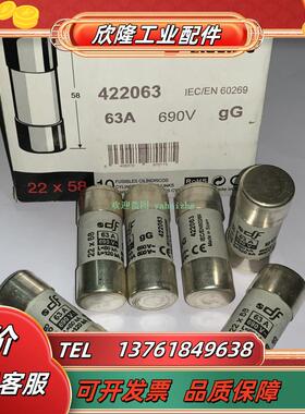 DF ELECTRIC DF熔断器 422002 422004 422006 422008 422010议价