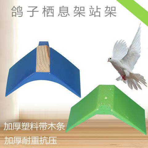 赛鸽信鸽专用塑料蛋窝 鸽子挂钩站架鸽子用用具鸽具栖架站架