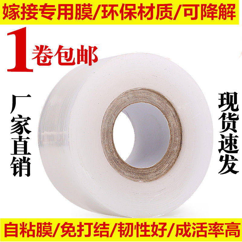 嫁接膜专用膜PE需打结薄膜 嫁接绑带果树苗木包扎带 自粘膜包邮
