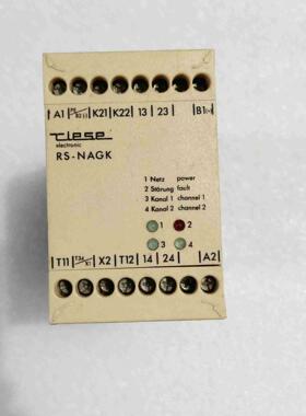 进口CIESE安全继电器RS-NAGK议价