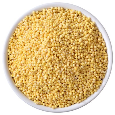 新鲜东北大黄米黄糯米粘糕窝窝头米面包粽子专用黏米粘糯小米杂粮