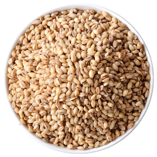 新鲜青海白青稞米粒官方旗舰店五谷杂粮煮粥粗粮米饭西藏大麦仁米