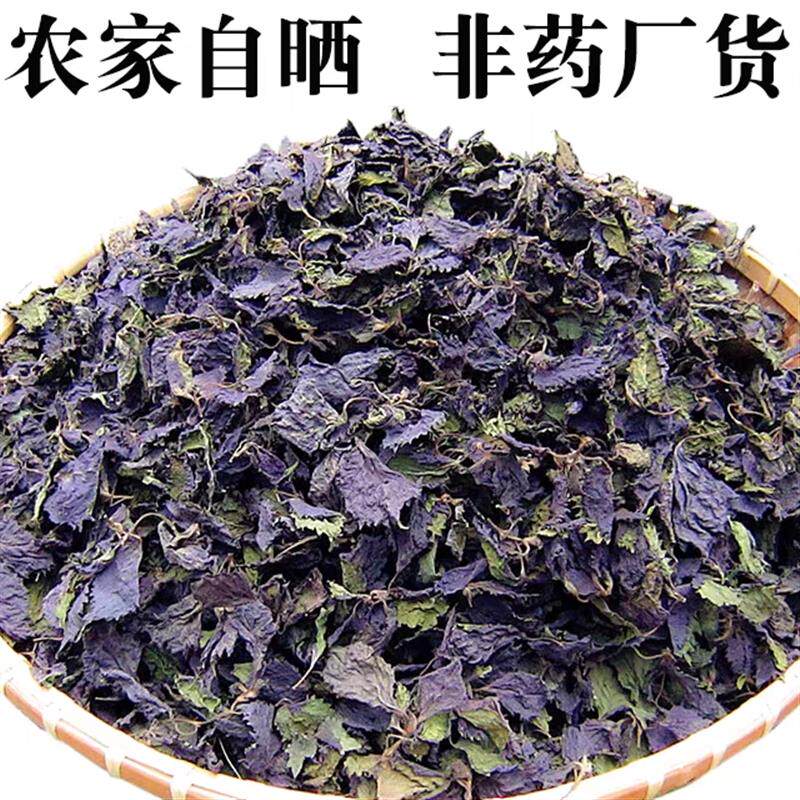农家自晒紫苏叶中药材精选紫苏叶干货香料无硫可食用泡茶水无粗杆
