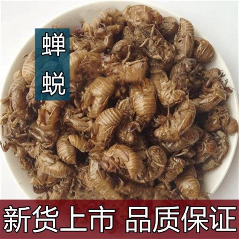 蝉蜕中药材500g克蝉壳蝉蜕金蝉壳蝉皮虫退知了壳爬了猴知了皮蝉衣