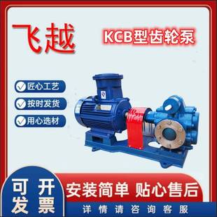 涂CHG料油漆k泵cb 200鑄鐵齒輪泵型機(jī)油k輸送泵現(xiàn)貨cb齒輪油泵