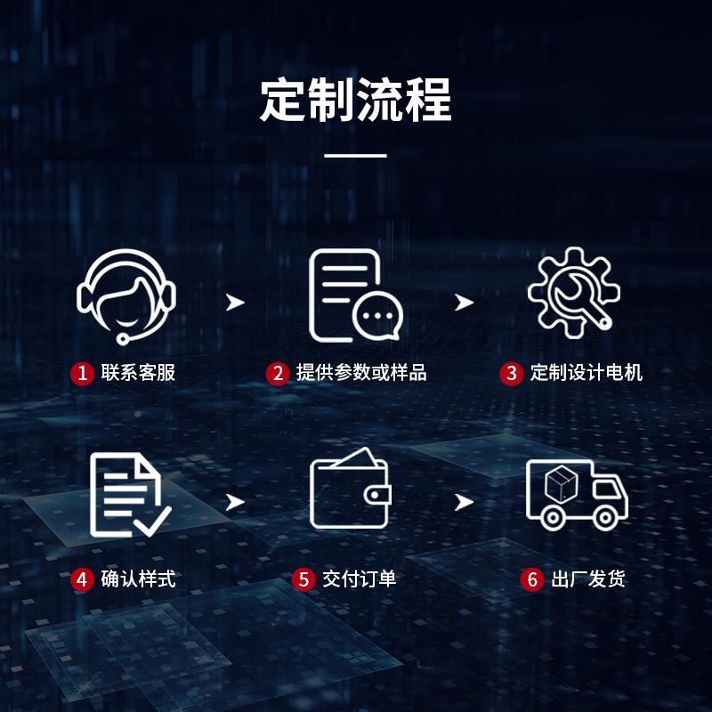 24V微型无RZM直流机电动机大扭矩减速传动齿轮无刷机器人刷噪电音