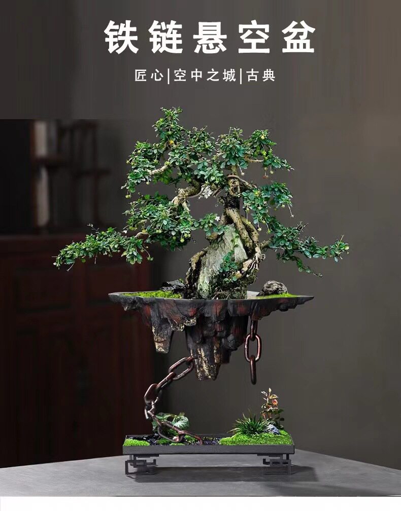 铁艺悬挂式花盆创意天空之城家居客厅装饰文竹多肉花盆大号造景盆