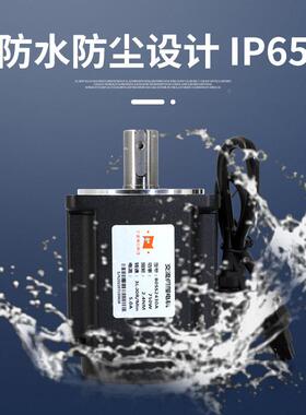 W60/80数显交伺流服电机20V驱动器套装小型永磁同步马达2TXP400/7