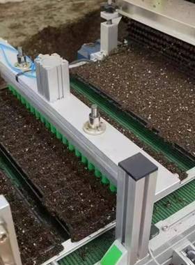 种全自育苗盘播种机流水线装土压穴蔬菜花动卉育XPW苗播种机穴盘