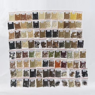 科普种子标本蔬菜水果五谷豆子学生认知幼儿园植物角种子大全包邮