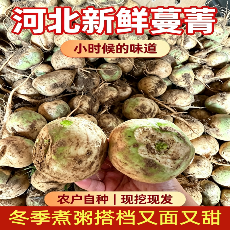 河北新鲜蔓菁甜面疙瘩农家自种蔓菁小米粥搭档蔓菁甜疙瘩新鲜蔬菜