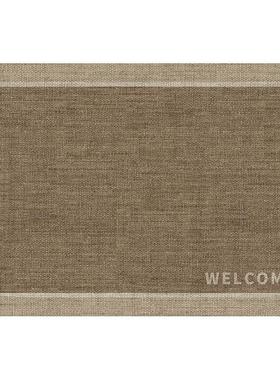 入户门地垫家用轻奢高级感别墅大门口防滑脚垫子进门玄关耐脏地毯