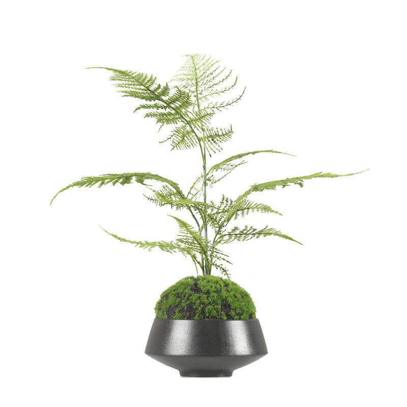 新中式仿真文竹绿植花艺盆景酒店样板房售楼处软装搭配禅意摆件