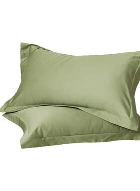 绿色高S高密度100S长绒棉单品枕套枕头套48x74cm一对高级感酒店