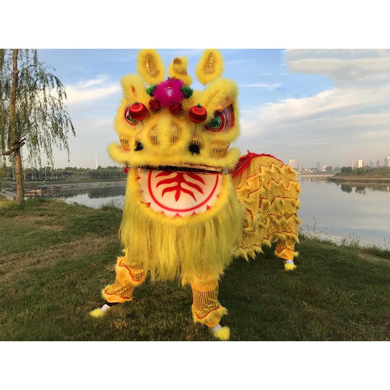 舞狮道具整套南狮双人舞狮子龙醒狮成人服装狮头套装