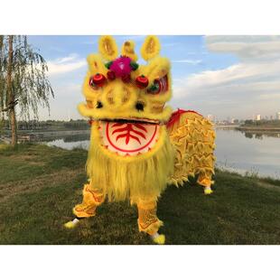 舞狮道具整套南狮双人舞狮子龙醒狮成人服装狮头套装