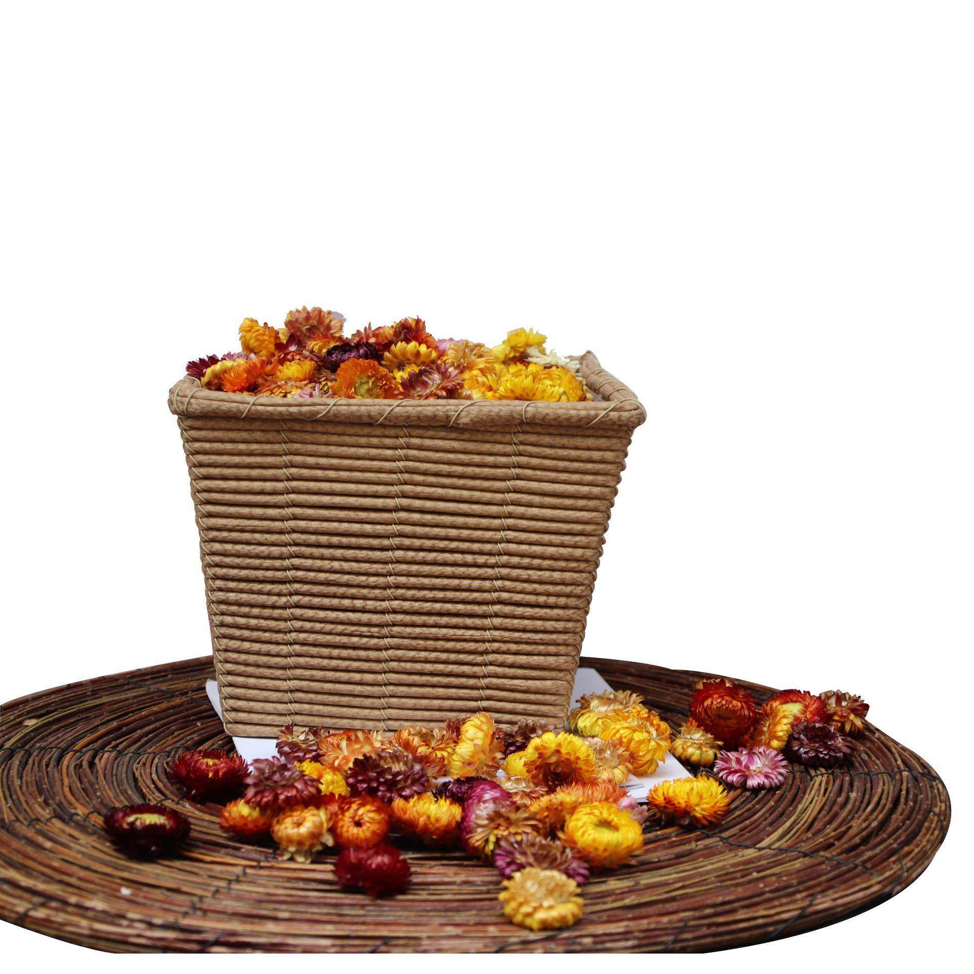 七彩菊干花花厂家七彩菊散装花头干花永生花礼盒装饰花材,鲜花速递/花卉仿真/绿植园艺,干花,淘宝优惠券,粉丝福利购,淘宝优惠卷