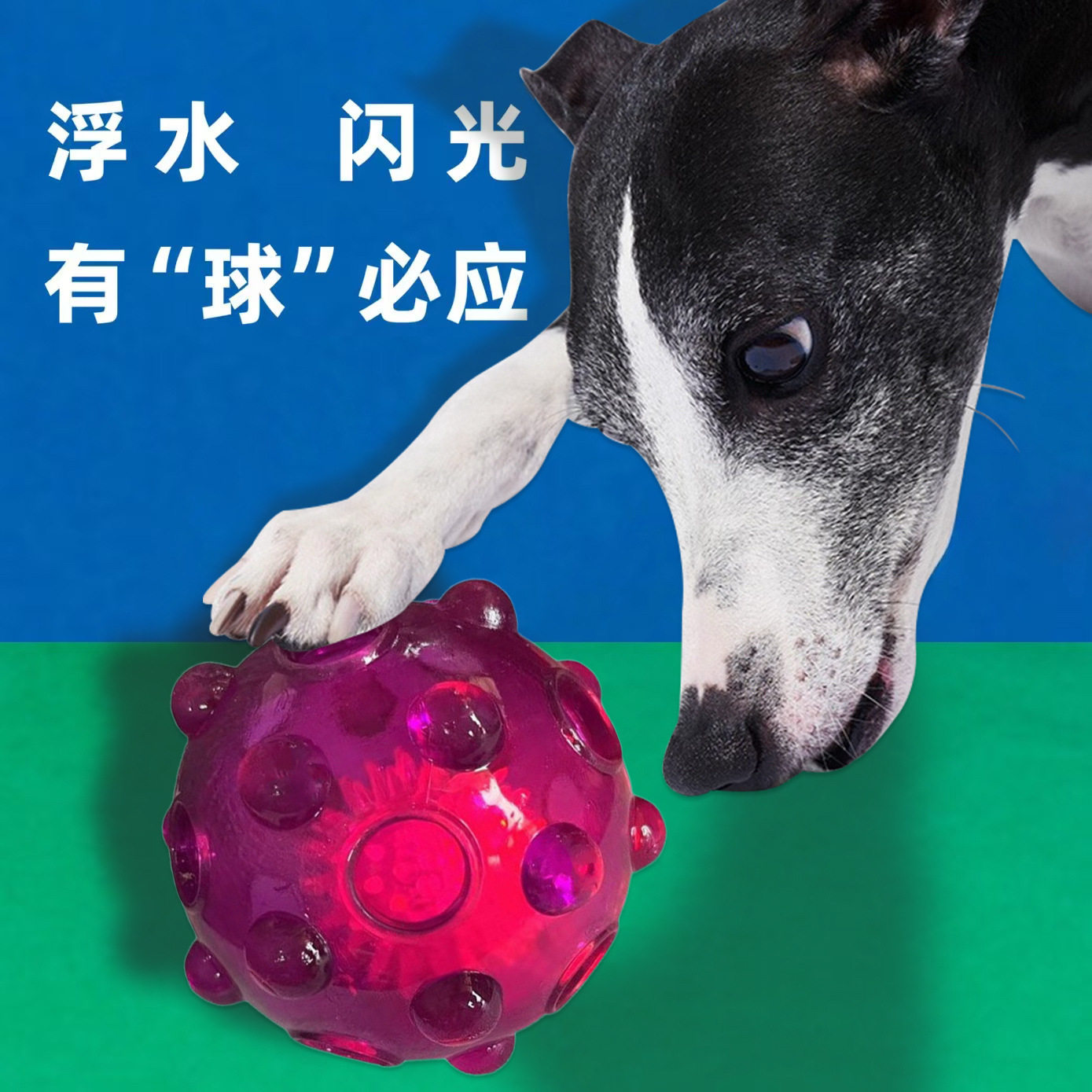 幼犬发声发光闪光球解闷玩具