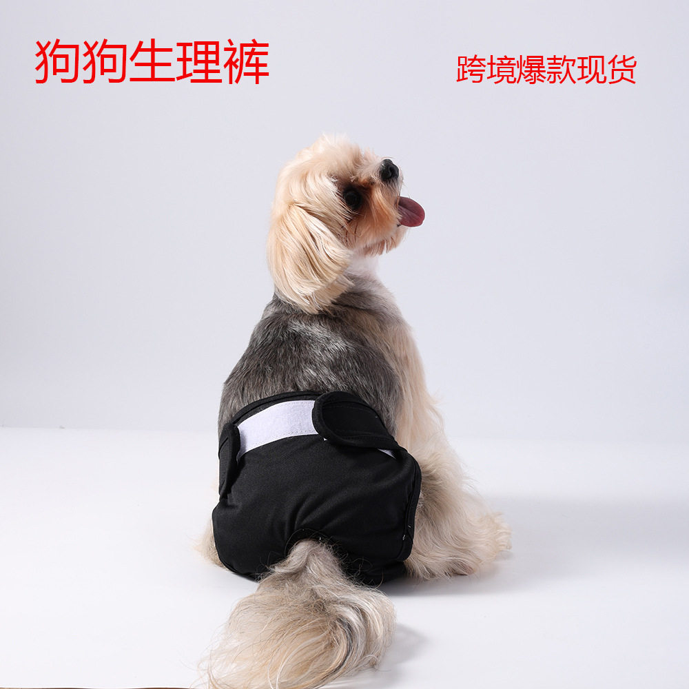 狗狗裤跨境爆款公狗防漏尿布防扰