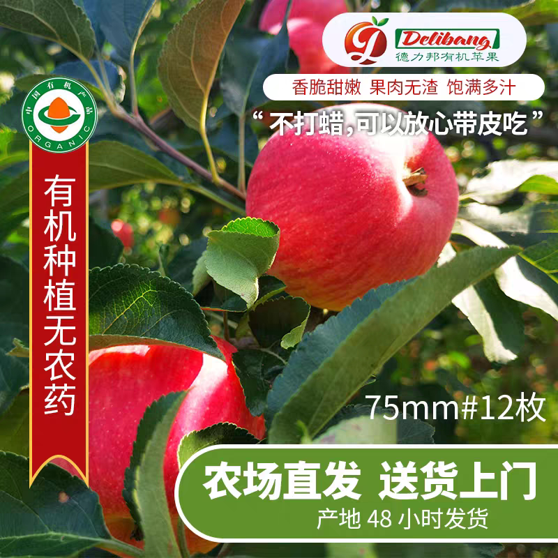 德力邦6号有机红富士苹果 新鲜水果2025年新货现摘脆甜多汁