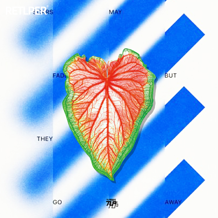 tlp系列叶片平面贴纸反光车贴