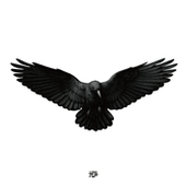 TLP反光车贴 乌鸦暗黑飞禽鸟动物摩托车机车电动车贴纸 飞翔