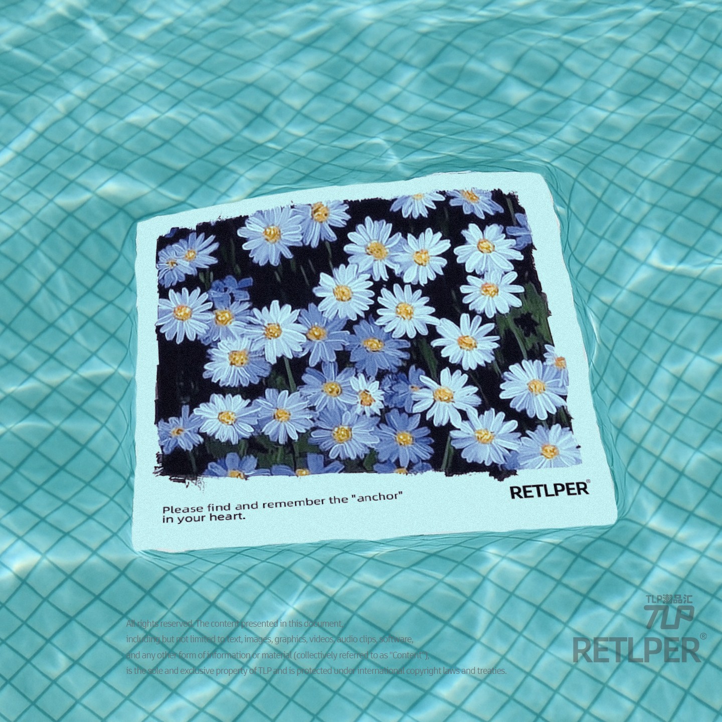 小雏菊太阳花心中锚点防水贴纸