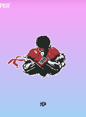 TLP反光车贴 街头霸王SF街霸小白隆RYU街机游戏贴纸